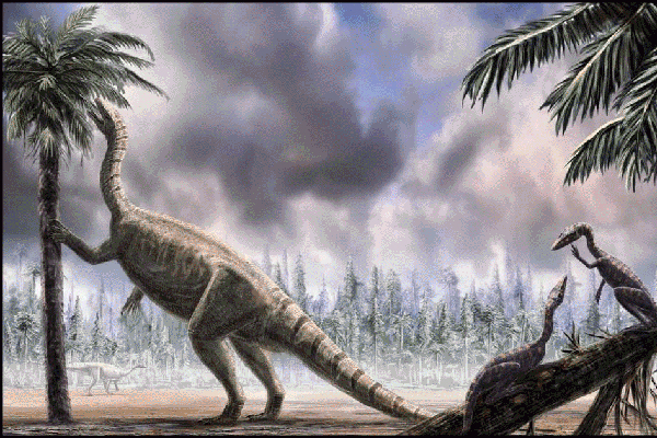 Платеотазавр ест листву.